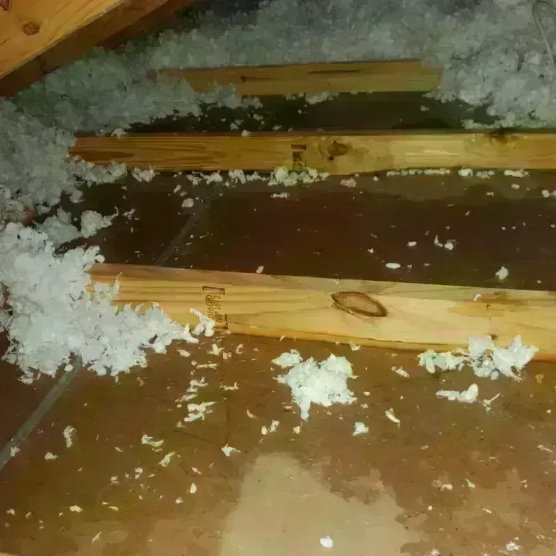 Attic Water Damage in Wildwood, TX