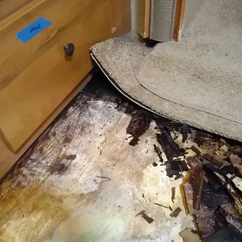 Wood Floor Water Damage in Wildwood, TX